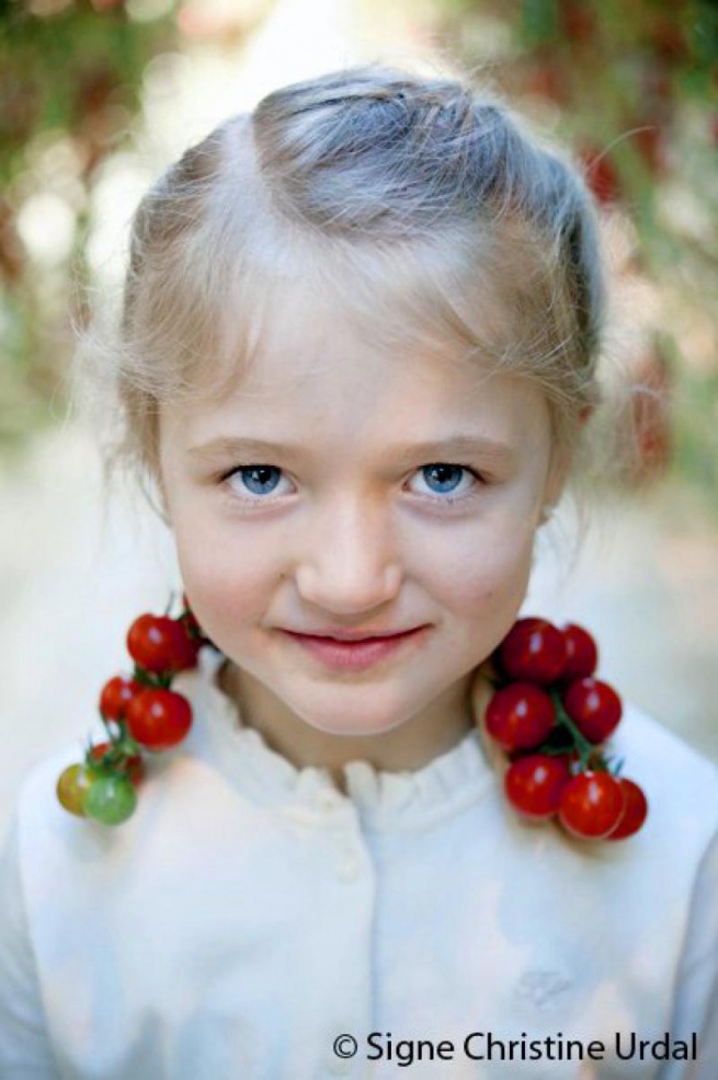 TOMATO CAMPAIGN FOR LYSE