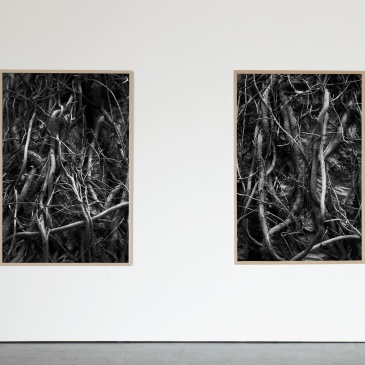 "Røtter # 01" og Røtter # 02" (2021), 100 x 150 cm